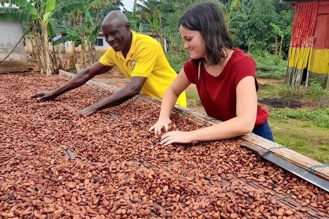 1 Day cocoa farm tour - Lunch, snacks, and the rhythm of the day