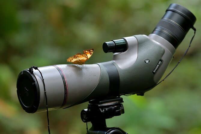 14 Day Ghana Butterfly Tour - Bobiri Forest Reserve and its famous mud-puddling sites