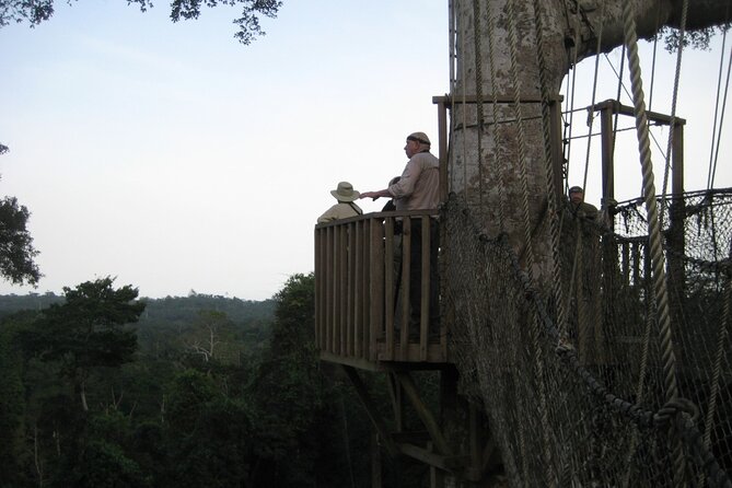 15-Day Ghana Wildlife Private Tour - Days 6 to 8: Ankasa’s remote wet forest