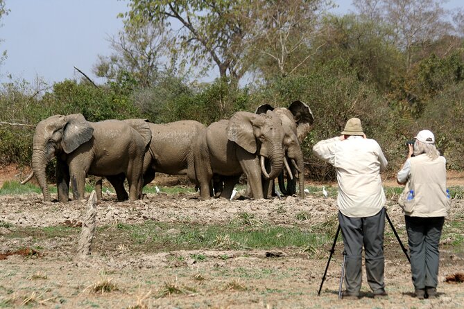 15-Day Ghana Wildlife Private Tour - Day 11: A long transfer to Mole National Park