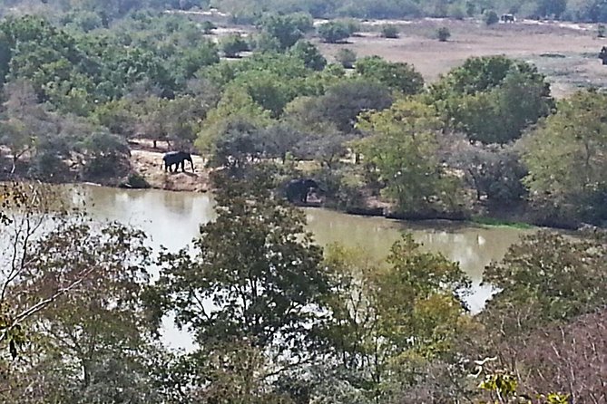 2 Days (1 night) Elephants Safari at Mole Park with Round - trip flights - Lunch at the viewing point