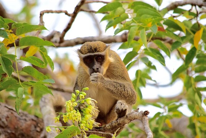 2Days private explore volta region - Why this two-day trip works