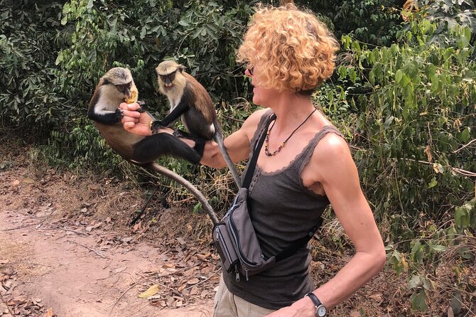 2Days private explore volta region - The overnight stay and what is included