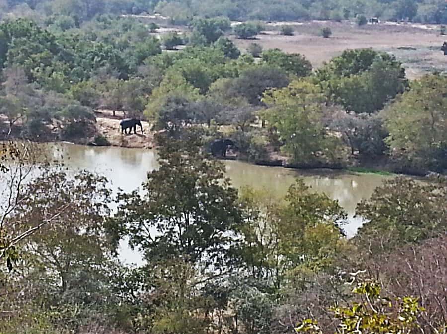 3 Days Elephant Safari at Mole Park with round trip flights - Meeting village life after the animals