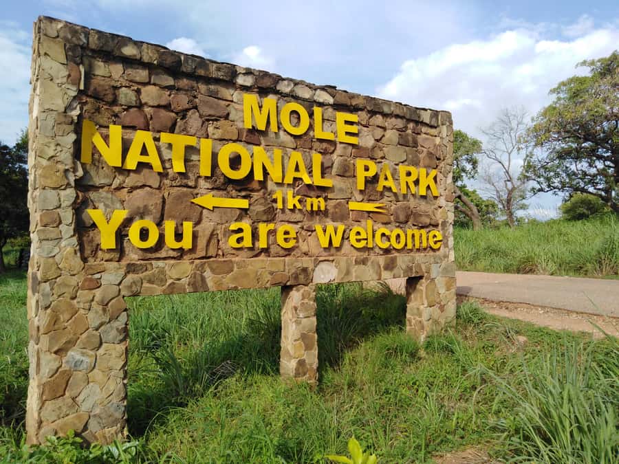 3 Days Elephant Safari at Mole Park with round trip flights - Larabanga Mosque and an important expectation