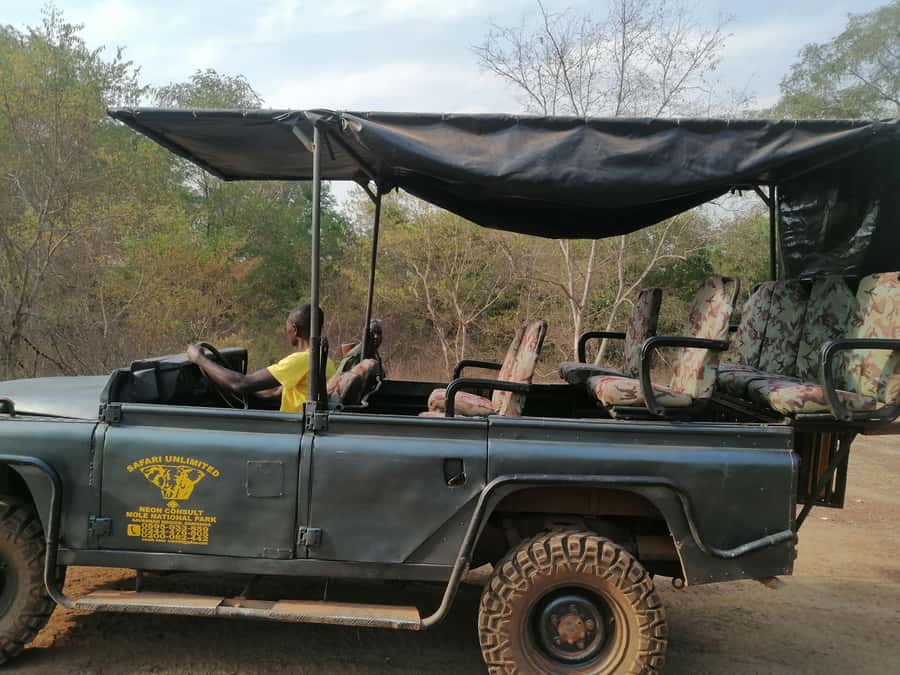 3 Days Elephant Safari at Mole Park with round trip flights - Who will get the most from this safari?