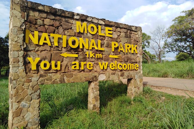 3 Days Elephants Safari at Mole Park with Round - trip flights - Day one: From Tamale to Mole National Park