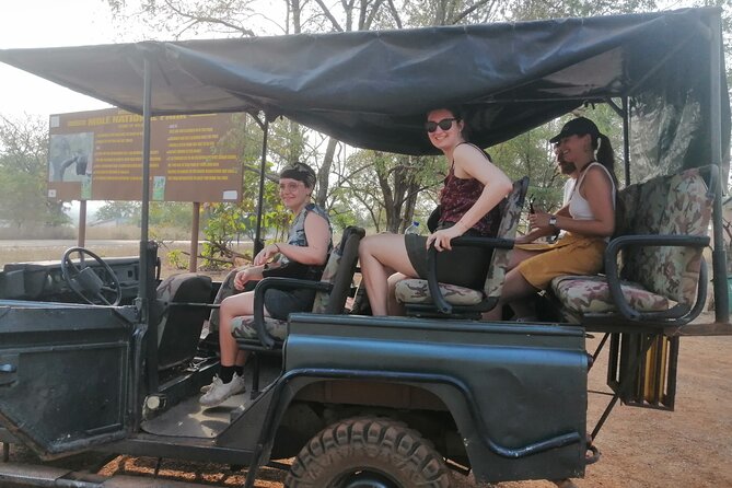 3 Days Elephants Safari at Mole Park with Round - trip flights - Who should book this Mole safari?