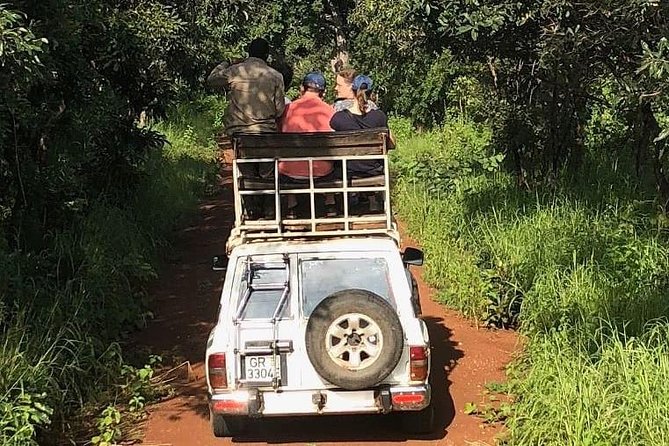 3 Days Sunrise Elephant Safari-Mole Park with -Round Trip Flight - Day 3: Larabanga Mosque and a remarkable northern community