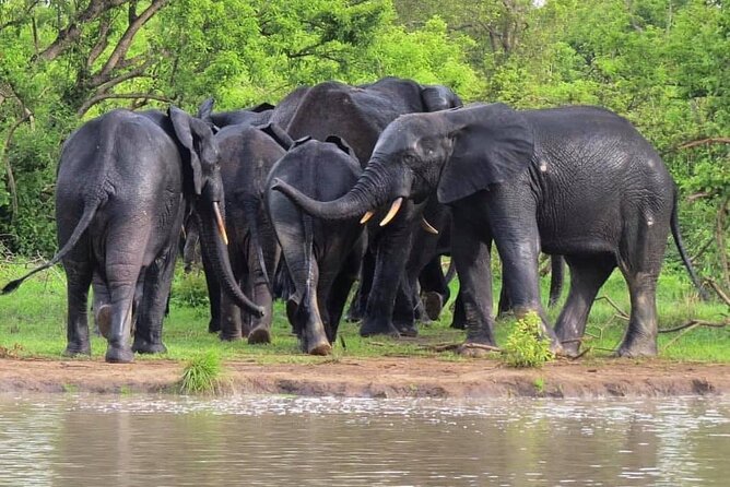 5Days Ghana Safari Tour - Hiking and rock scenery at Shai Hills