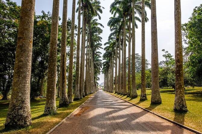 5Days Ghana Safari Tour - Flying north to Mole National Park