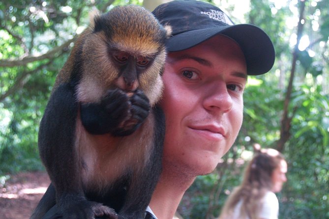 7days/6nights Eco Tourism - Day two: monkeys, Mount Afadjato, and Wli Waterfalls