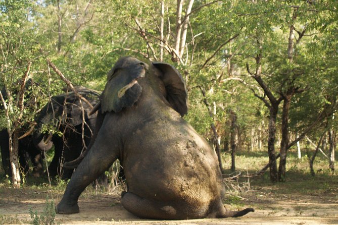 7days/6nights Eco Tourism - Day three: caves, Ashanti royalty, and a meteor lake