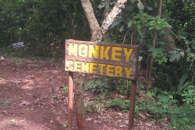 A 6 Days Cultural, Historic And Nature Tours - Day 4: The Monkey Priest, Kintampo Falls, and Tanoboase