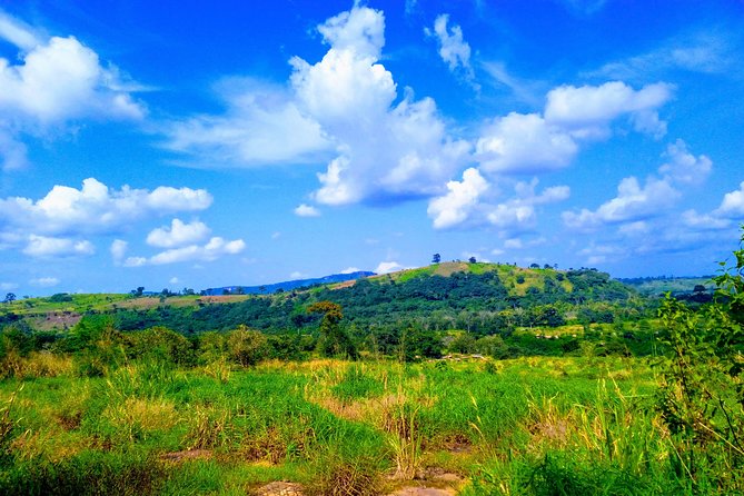 A Tour to Boti Falls - The Three Headed Palm Tree and Fertility Rock