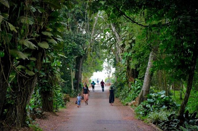 Aburi Botanic Gardens and Boti Falls Full-Day Private Tour - Boti Falls and the 250-step descent