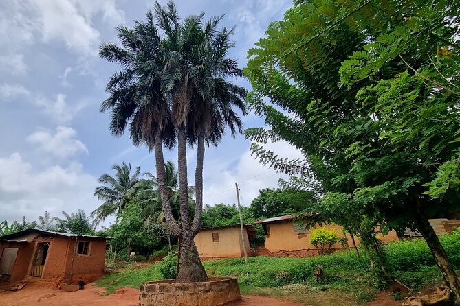 Aburi Botanic Gardens, Boti Falls,Umbrella Rock & Cocoa Farm Tour - Why this Eastern Region day trip works