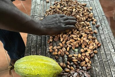 Aburi Botanic Gardens, Boti Falls,Umbrella Rock & Cocoa Farm Tour