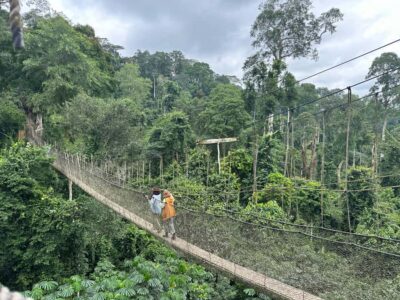 2-Day Cape Coast and Elmina Tour with Kakum Park