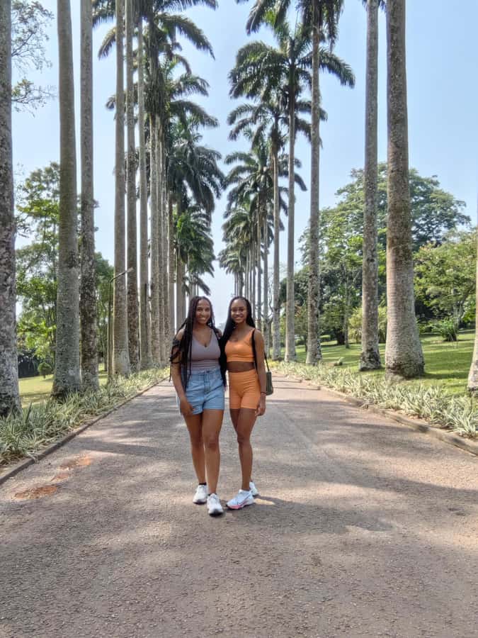 Accra: Aburi Botanical Garden, Cocoa Farm, and Waterfall … - Leaving Accra for Ghana’s Eastern Region