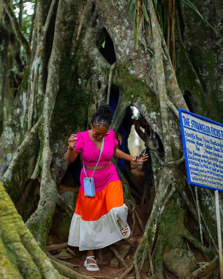 Accra: Aburi Botanical Garden, Cocoa Farm, and Waterfall … - What the $194 price includes