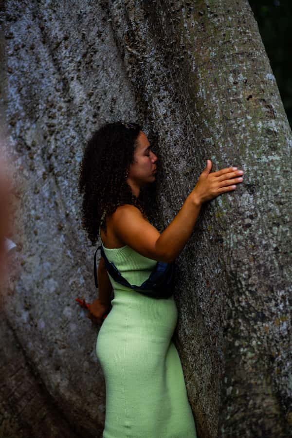 Accra: Aburi Botanical Garden, Cocoa Farm, and Waterfall … - Who will enjoy this day most