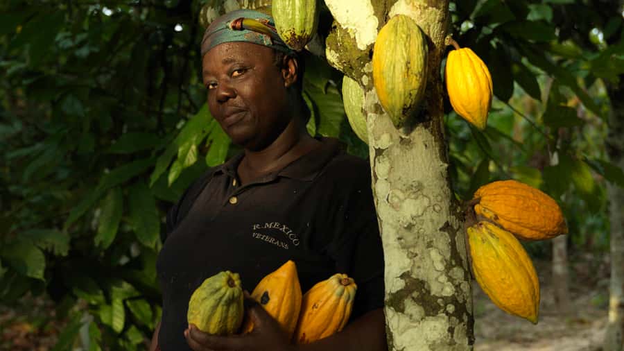 Accra Aburi Eco & Cocoa Experience: Gardens Waterfall &Lunch - Key points at a glance