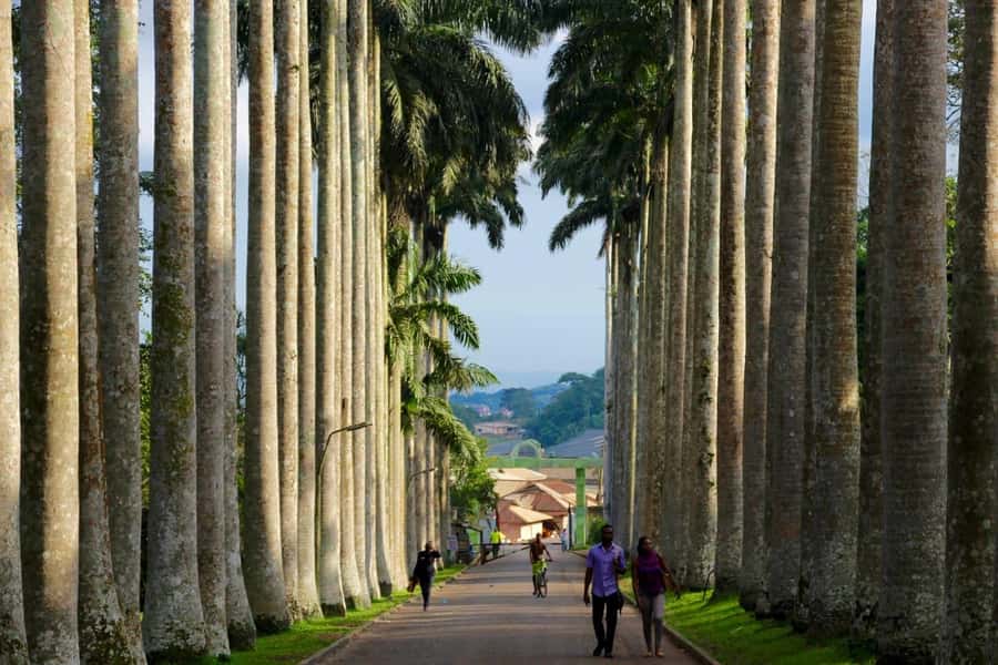 Accra Aburi Eco & Cocoa Experience: Gardens Waterfall &Lunch - Leaving Accra for Ghana’s cocoa country