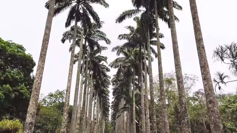 Accra: Eastern Region Waterfalls Tour - Leaving Accra at 7:00 AM