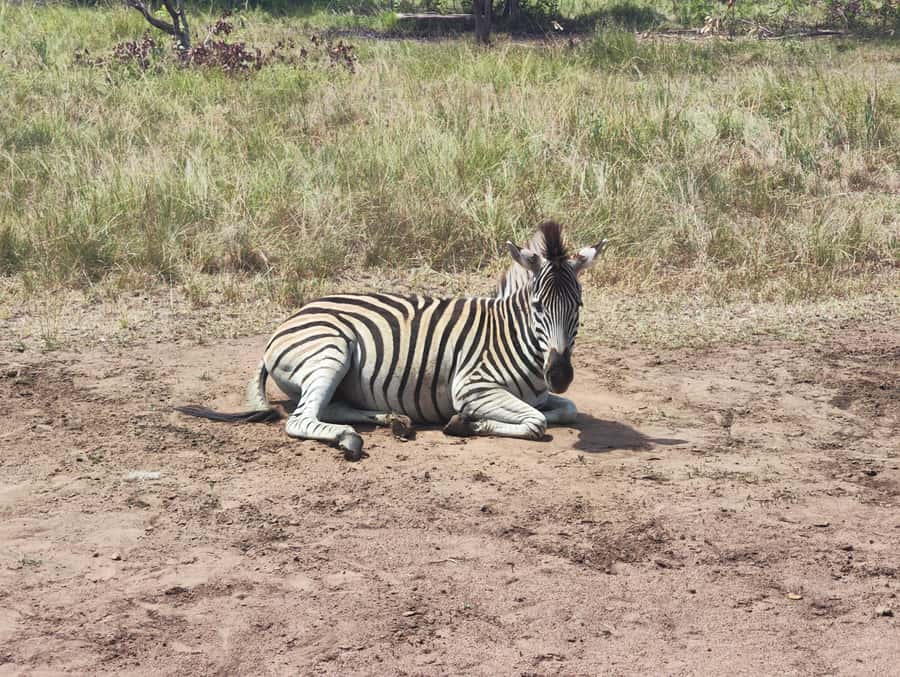 Accra: Half day private safari with pick up - What kind of safari is Shai Hills?