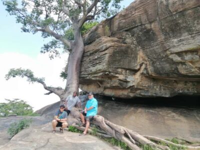 Half day private safari with pick up