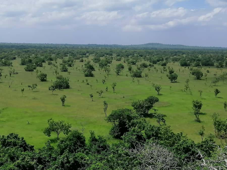 Accra: Half day private safari with pick up - The lake view and Ghanaian food option