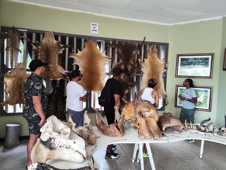 Accra: Half day private safari with pick up - What to bring and how to prepare