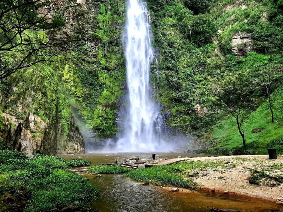 Accra: Tafi Kente Village, Monkey Sanctuary &Wli Waterfalls - Who Will Enjoy This Day Most?