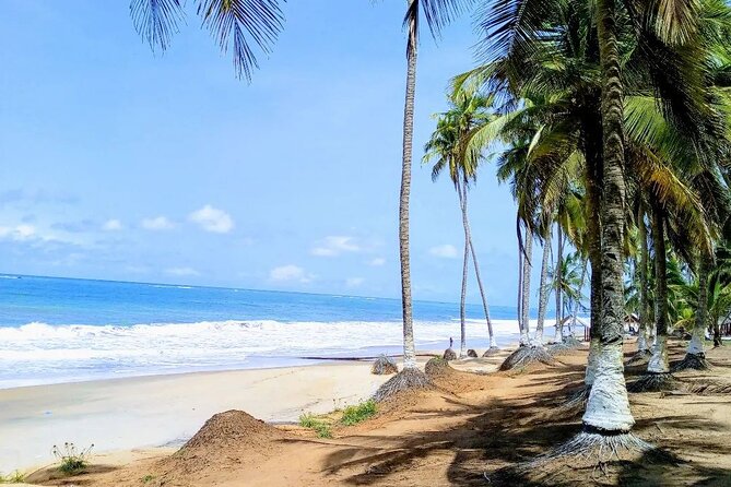 Accra To Cape Coast And Elmina Day Tour - Is $165 Per Person Good Value?