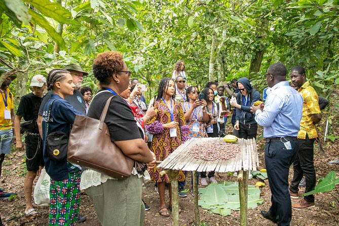 Boti Falls, Botanic Gardens, Cocoa Fam, Umbrella Rock Experience - Boti Falls and the 250-step descent