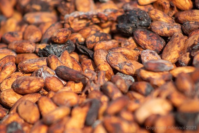 Boti Falls, Umbrella Rock, Aburi Gardens & Cocoa Farm Day Tour - The day in six useful facts
