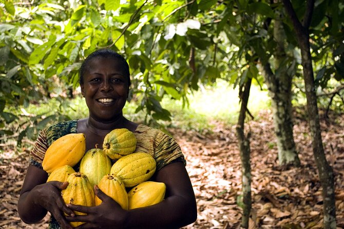 Boti Falls, Umbrella Rock, Aburi Gardens & Cocoa Farm Day Tour - From Accra to Ghana’s Eastern Region