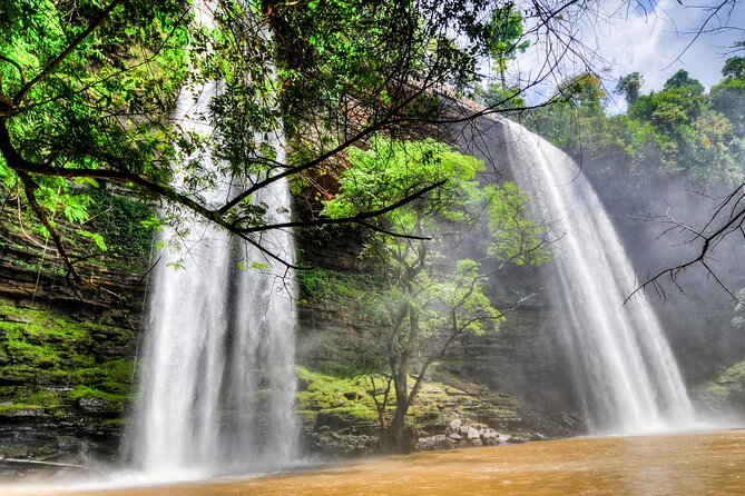 Boti Falls, Umbrella Rock, Aburi Gardens & Cocoa Farm Day Tour - Guides, transport, and the small details that matter