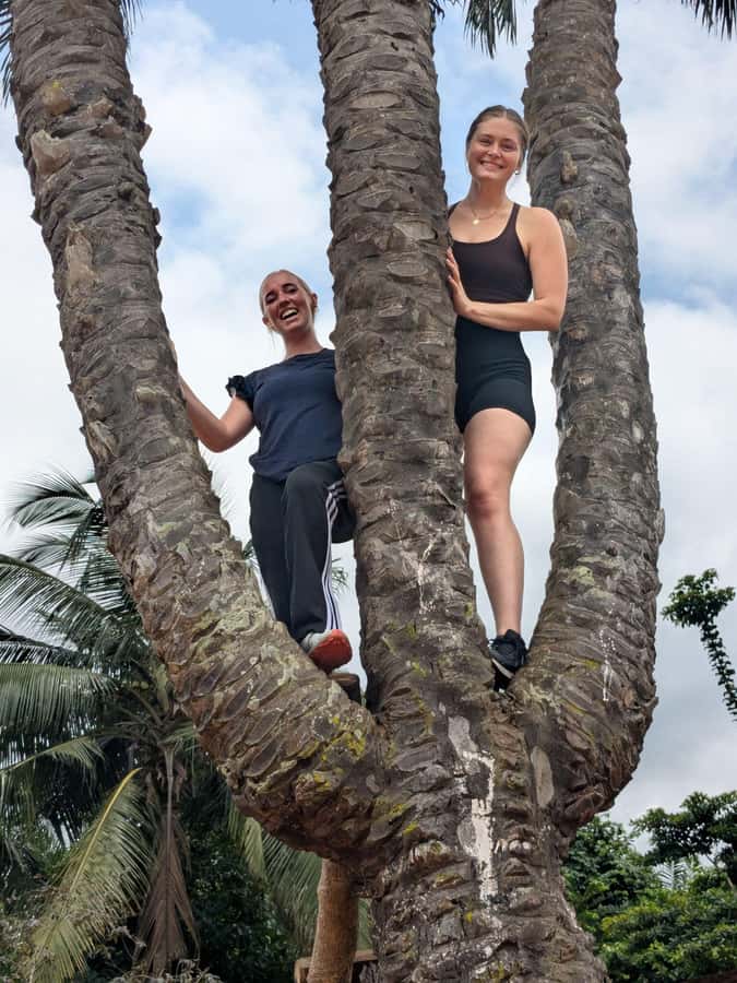Boti Falls, Umbrella Rock, Aburi Gardens & Cocoa Farm Tour - Leaving Accra for the Eastern Region