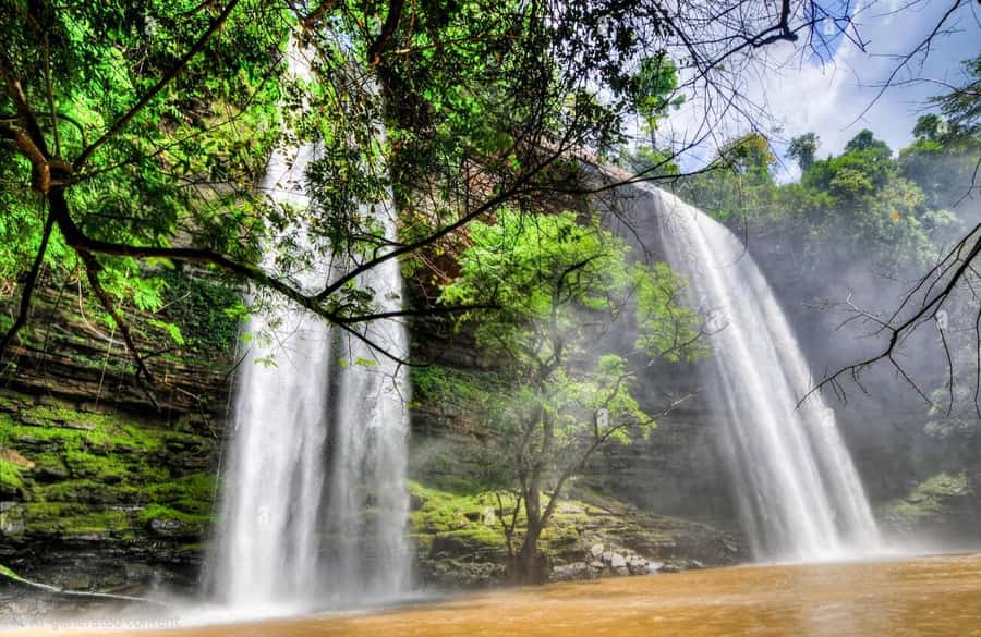 Boti Falls, Umbrella Rock, Aburi Gardens & Cocoa Farm Tour - Boti Falls and the walk through the forest
