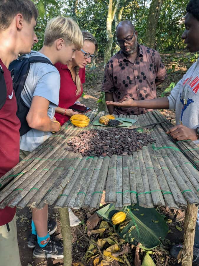 Boti Falls, Umbrella Rock, Aburi Gardens & Cocoa Farm Tour - The Tetteh Quarshie Cocoa Farm