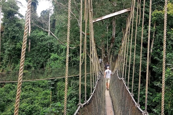 Cape Coast Day Tour From Accra - Kakum National Park and the Seven Bridges