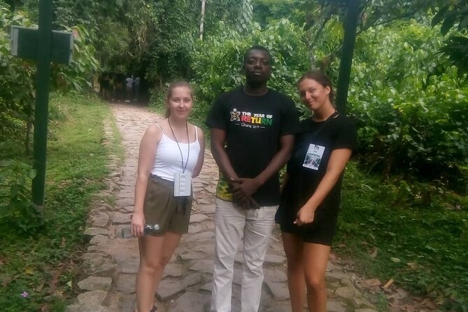 Cape Coast Day tour with Ekow - Kakum National Park: forest before the castles