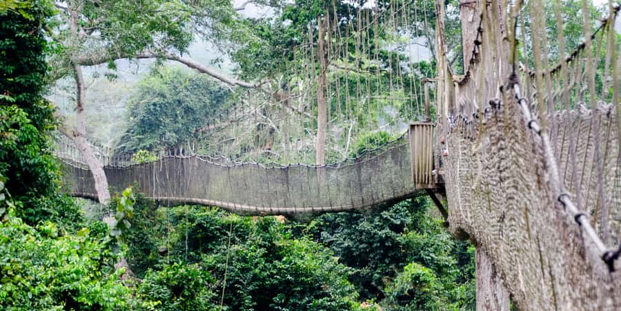 Cape Coast: Kakum National Park, Castles, & Hans Cottage - Key points before you book
