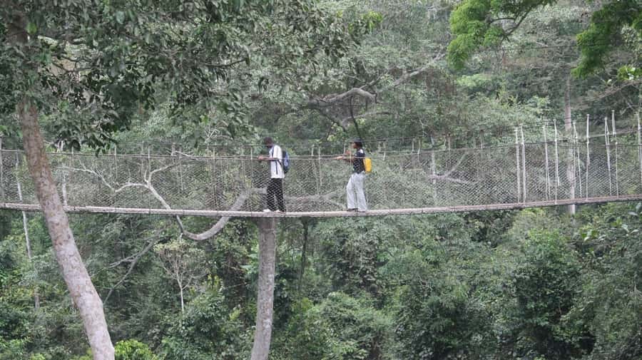 Cape Coast: Kakum National Park, Castles, & Hans Cottage - Meeting at Accra Mall and setting off early