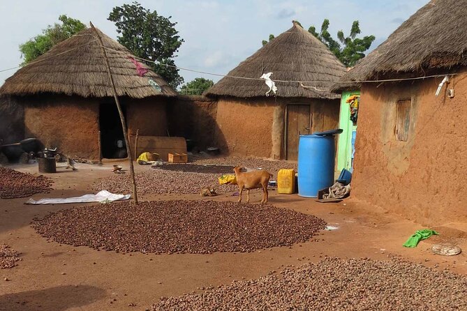 Cultural Village Tour: Traditional Naming Ceremony - Key points to know before booking