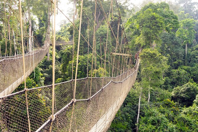 Day Tour to Kakum National Park, Cape Coast and Elmina Castles - Why this Ghana day trip has real appeal