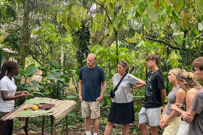 Day Trip Near Accra - Visit Aburi Gardens, Waterfall & Cocoa Farm - From Accra traffic to Aburi’s cooler hills