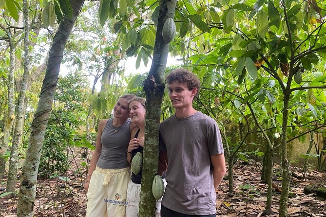 Day Trip Near Accra - Visit Aburi Gardens, Waterfall & Cocoa Farm - Oboadaka Falls, with a steep stairway to the water